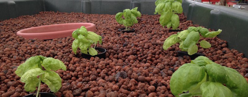 IMG_3996-e1443100962377-800x316